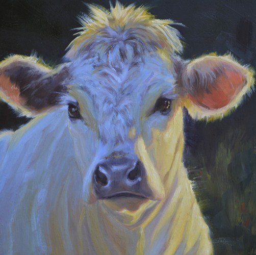 Bovine Beauty 8x8 $350 at Hunter Wolff Gallery